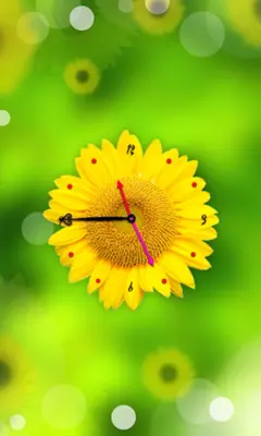 Sun Flower Clock Live Wallpaper android App screenshot 2