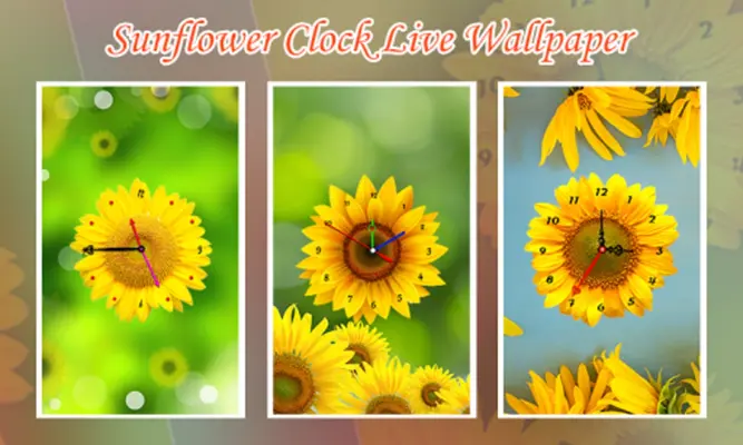 Sun Flower Clock Live Wallpaper android App screenshot 5